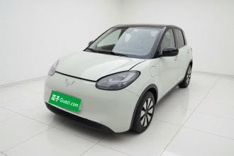 五菱汽车 五菱缤果 2023款 333km 悦享+款