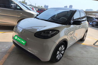 五菱汽车 五菱缤果 2023款 333km 悦享+款