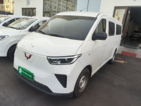 五菱汽车 五菱扬光 2024款 300km 舒适型客车版 75kW