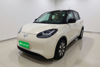 五菱汽车 五菱缤果 2023款 333km 灵犀互联款