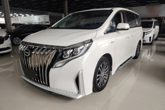 广汽传祺 传祺M8 2021款 大师系列 390T 尊贵版