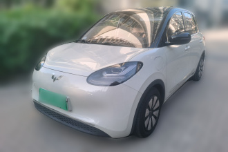 五菱汽车 五菱缤果 2023款 333km 悦享+款