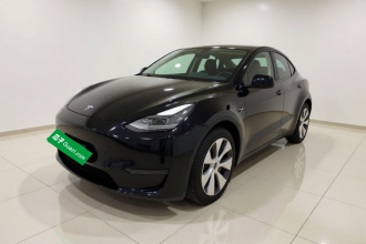 特斯拉 Model Y 2021款 标准续航后驱版