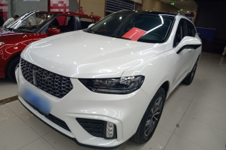 魏牌 VV5 2020款 1.5T 两驱颜先锋