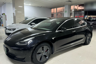 特斯拉 Model 3 2020款 标准续航后驱升级版