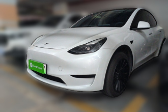 特斯拉 Model Y 2023款 后轮驱动版