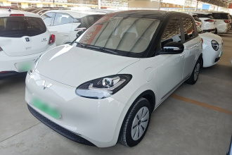 五菱汽车 五菱缤果 2024款 203km 轻享款