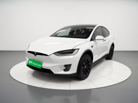 特斯拉 Model X 2019款 长续航版