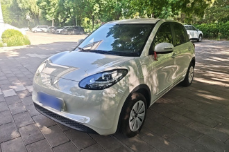 五菱汽车 五菱缤果 2024款 203km 轻享款