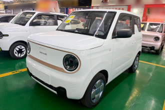 吉利银河 2024款 熊猫mini 200km 耐力熊