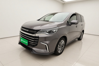 上汽大通MAXUS 大通G50 2019款 1.5T 首发款自动豪华版 7座