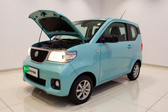 五菱汽车 宏光MINIEV 2020款 自在款 三元锂