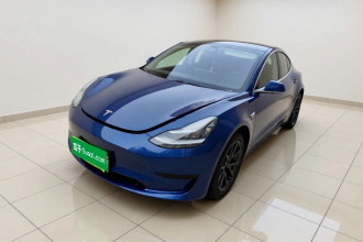 特斯拉 Model 3 2020款 标准续航后驱升级版
