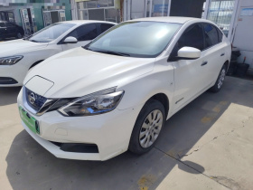 日产 轩逸·纯电 2018款 舒适版 定制版