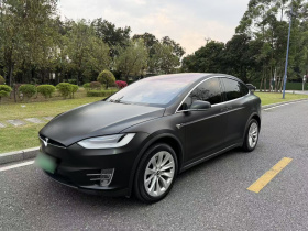 特斯拉 Model X 2019款 长续航版
