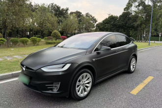 特斯拉 Model X 2019款 长续航版