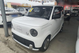 睿蓝汽车 睿蓝蓝气球 2025款 活力版