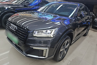 奥迪Q2L e-tron 2019款 Q2L e-tron 纯电智享型
