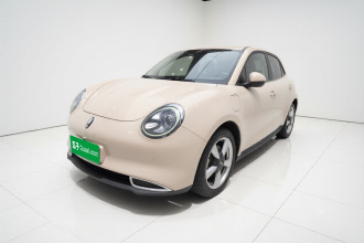 欧拉好猫 2021款 400km标准续航 维纳斯版 磷酸铁锂