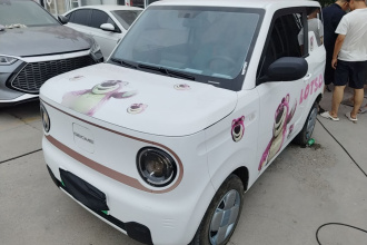 吉利银河 2024款 熊猫mini 200km 耐力熊