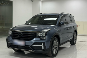 广汽传祺 传祺GS8 2020款 390T 两驱尊贵版（七座）