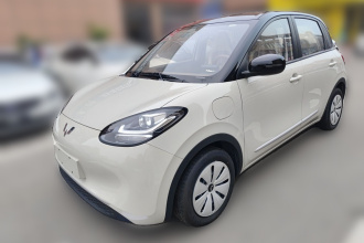五菱汽车 五菱缤果 2024款 203km 轻享款