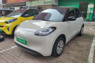 五菱汽车 五菱缤果 2023款 333km 快享款