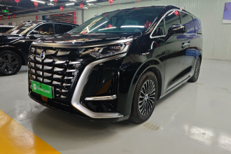 腾势D9 2024款 DM-i 980 四驱尊贵型