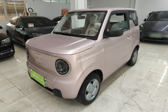 吉利银河 2023款 熊猫mini 200km 耐力熊