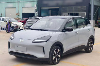 五菱汽车 五菱缤果PLUS 2024款 330km 五座版