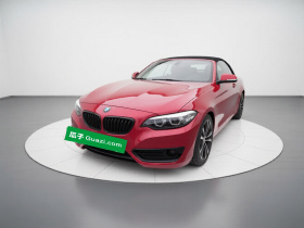 宝马2系(进口) 2019款 225i 敞篷轿跑车 运动设计套装