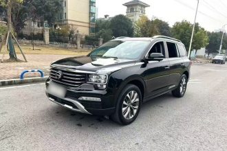 广汽传祺 传祺GS8 2017款 320T 两驱豪华智联版（七座）