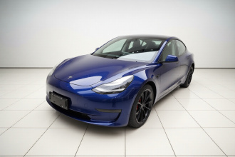 特斯拉 Model 3(进口) 2019款 Performance高性能全轮驱动版