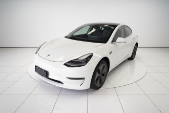 特斯拉 Model 3(进口) 2019款 长续航后驱版