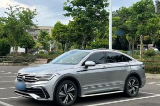 大众 途观X 2021款 330TSI 两驱旗舰版