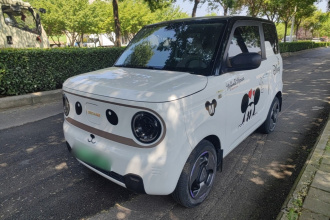 吉利银河 2023款 熊猫mini 200km 灵动熊