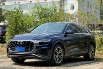 奥迪Q8 2019款 55 TFSI 豪华动感型