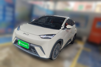 比亚迪 海鸥 2024款 荣耀版 305km 活力版