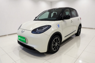 五菱汽车 五菱缤果 2023款 333km 悦享+款