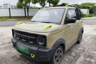 吉利银河 2024款 200km 熊猫骑士