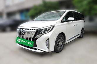 广汽传祺 传祺M8 2023款 领秀系列 390T 尊贵版