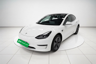 特斯拉 Model 3 2020款 改款 标准续航后驱升级版