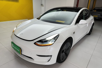 特斯拉 Model 3(进口) 2019款 长续航后驱版