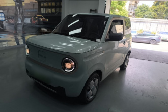 吉利银河 2023款 熊猫mini 200km 耐力熊