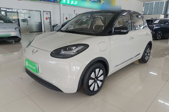 五菱汽车 五菱缤果 2024款 333km 悦享款
