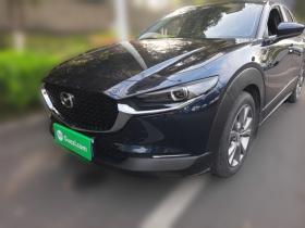 马自达CX-30 2020款 2.0L 自动嘉悦型