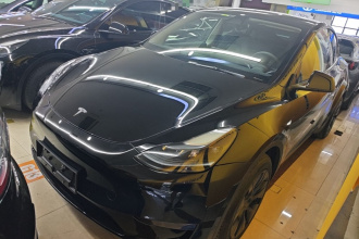 特斯拉 Model Y 2023款 长续航全轮驱动版