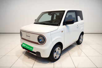 吉利银河 2024款 熊猫mini 200km 耐力熊