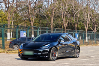 特斯拉 Model 3 2021款 Performance高性能全轮驱动版