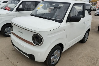吉利银河 2024款 熊猫mini 200km 耐力熊